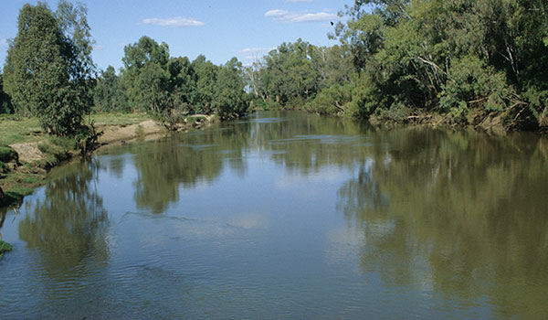 Gwydir River
