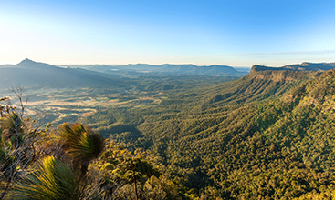 View from the Pinnacle Loockout across the Caldera to Wollumbin-Mount Warning.