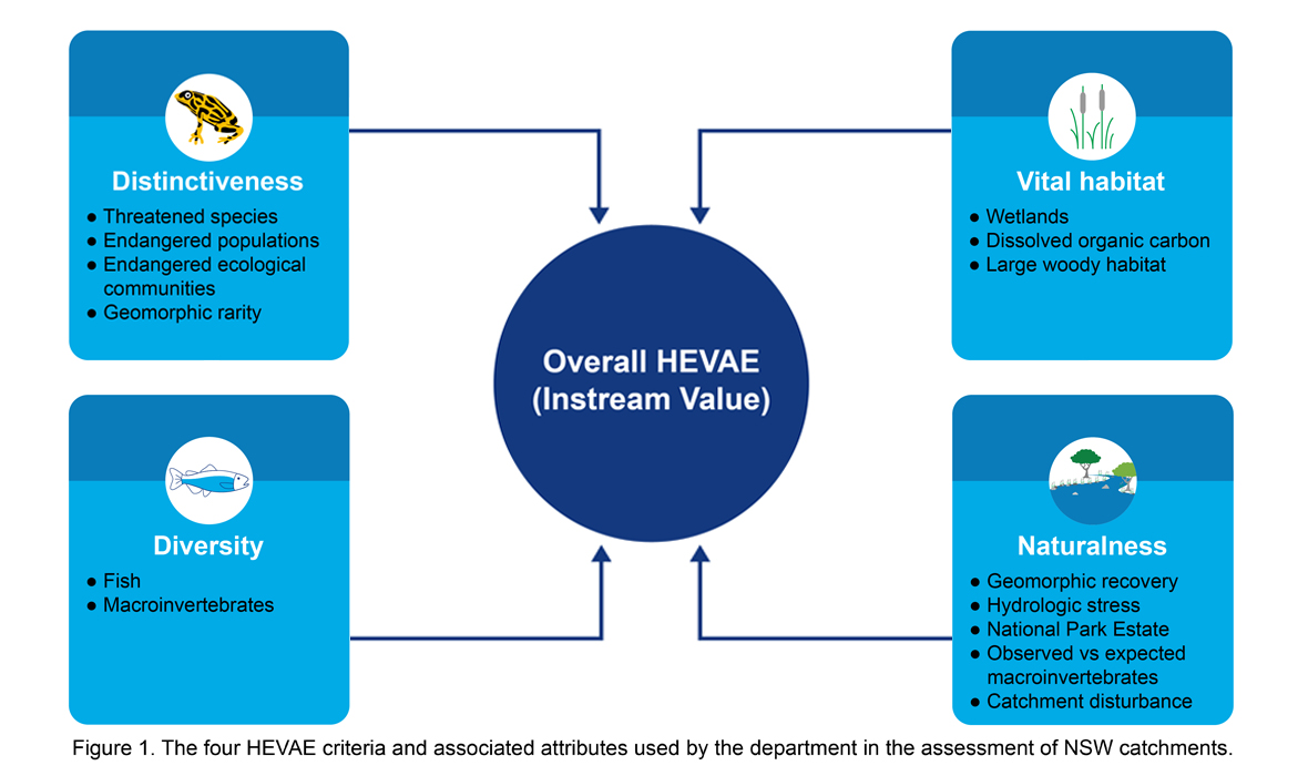 Overall HEVAE