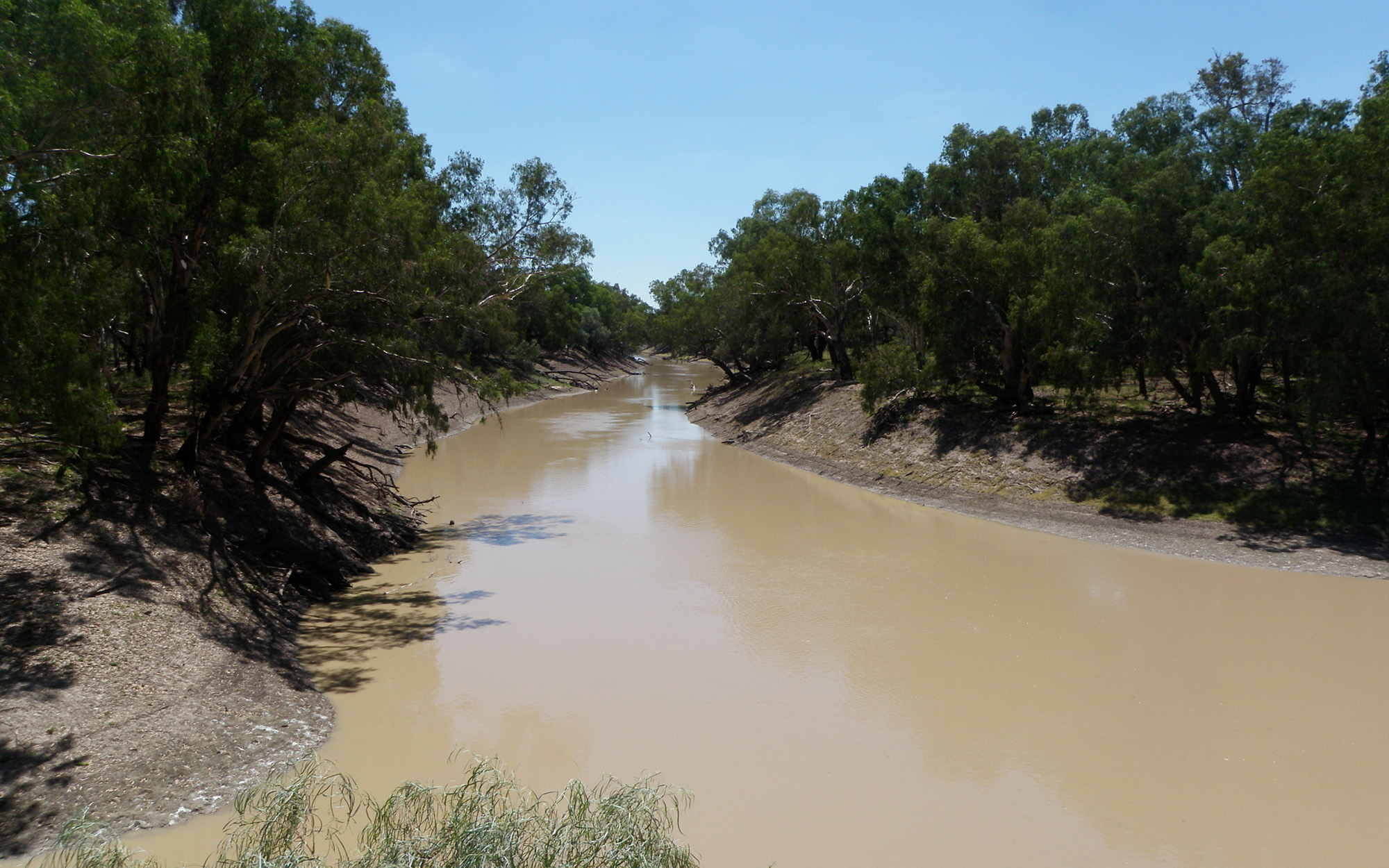 Confluence of the Barwon-Darling and Culgoa rivers (Culgoa in lower right corner).