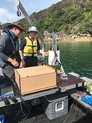 Macquarie University staff in the field