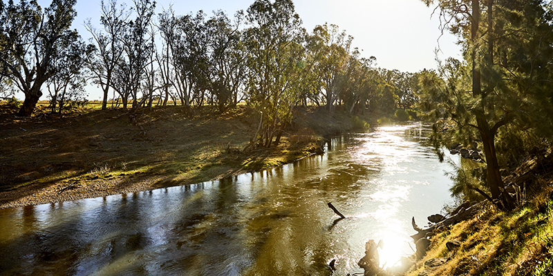 Afternoon sun shining over the Macquarie River near Dubbo.