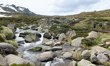 Hikers on Thredbo to Mount Kosciuszko walk - Image credit: E Sheargold/DPE