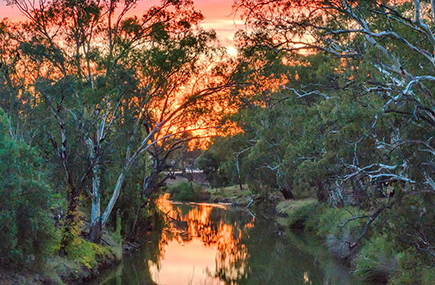 Lachlan river at sunset.