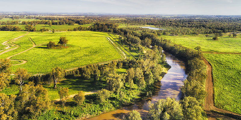 Brown river running through green fields