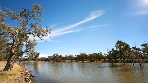 Darling river in outback Australia near the town of Bourke.