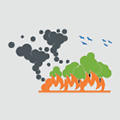 Bushfire impact and risk assessment