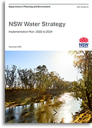 NSW Water Strategy Implementation Plan 2022-24