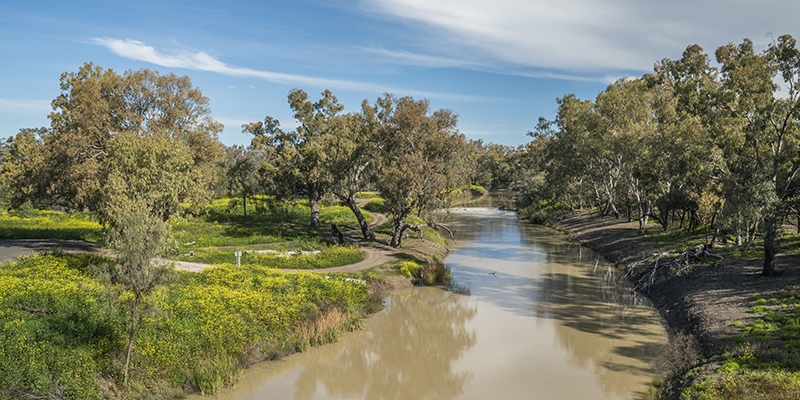 The scenic Namoi River in Walgett in country NSW.