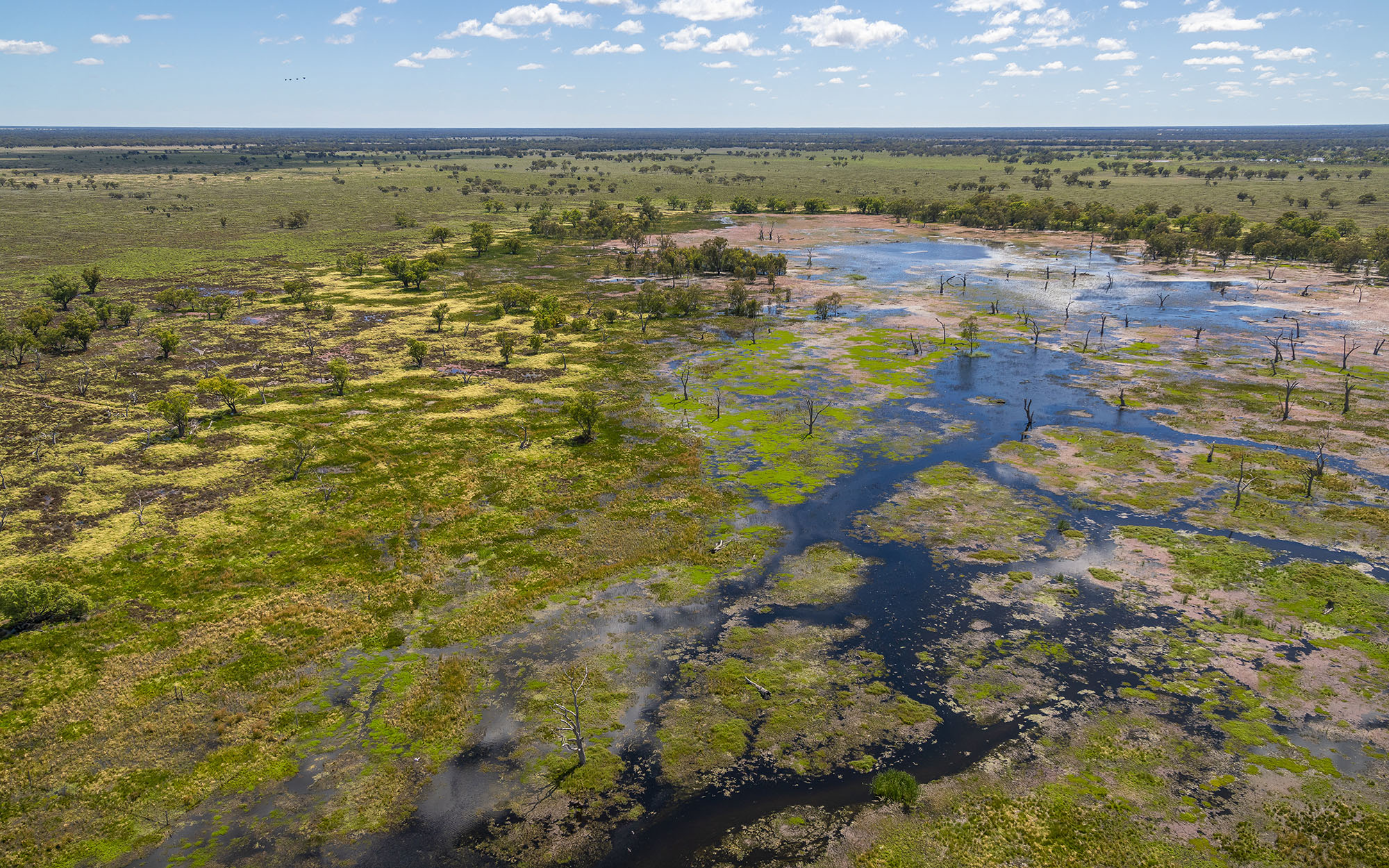 Southern lagoons, Macquarie Marshes Nature Reserve.