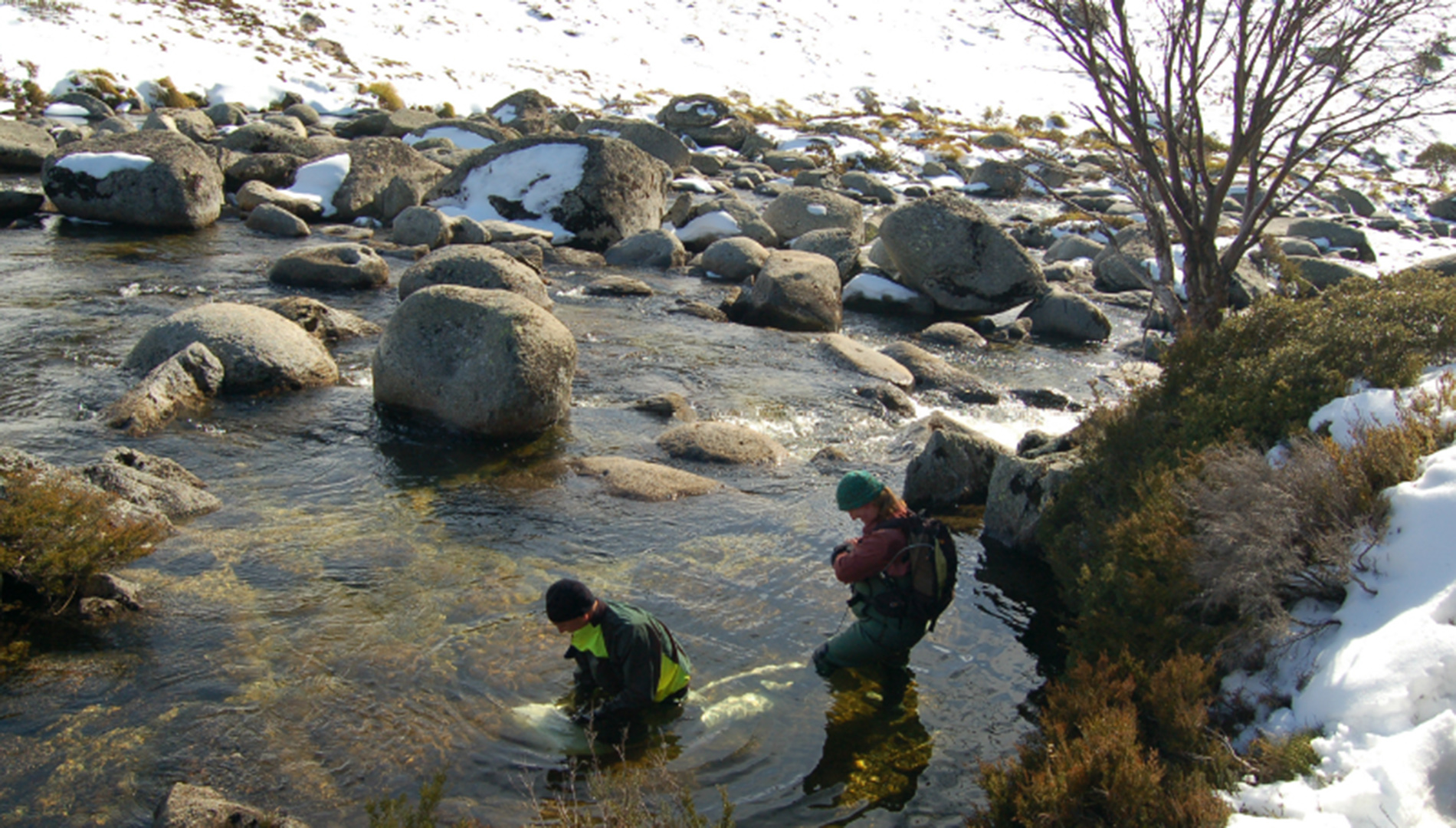 Water sampling in the Upper Snowy