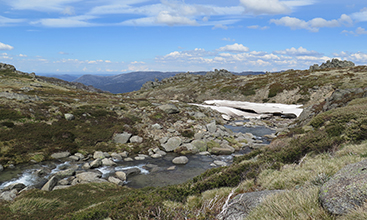 Thredbo to Mount Kosciuszko walk, alpine stream - Image credit: E Sheargold/DPE