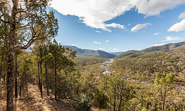 The views from Jacks lookout in the southern precinct of Kosciuszko National Park, near Thredbo, offers scenic views of the Snowy River valley and Snowy River - Image credit: Murray Vanderveer