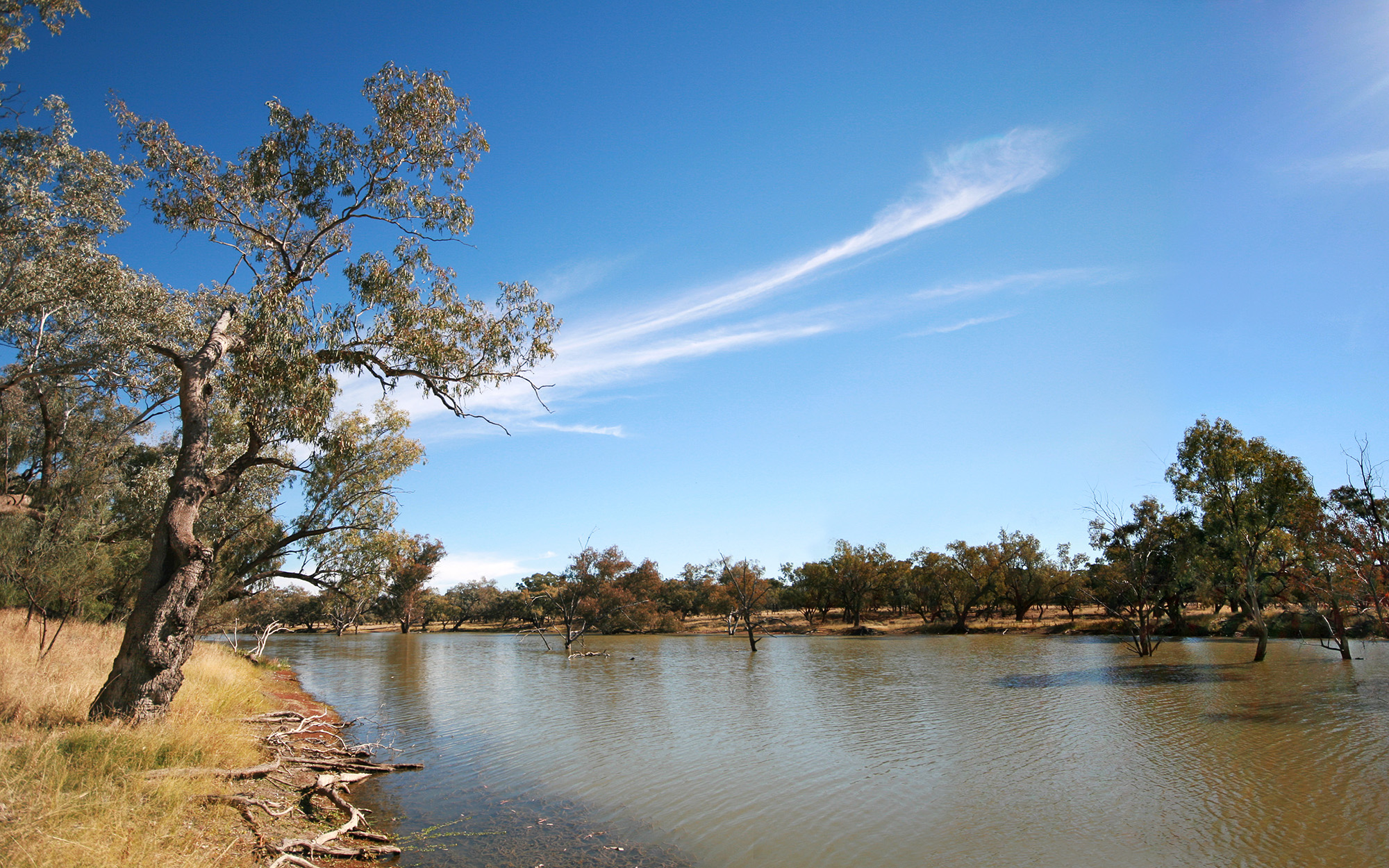 Darling river in outback Australia near the town of Bourke.