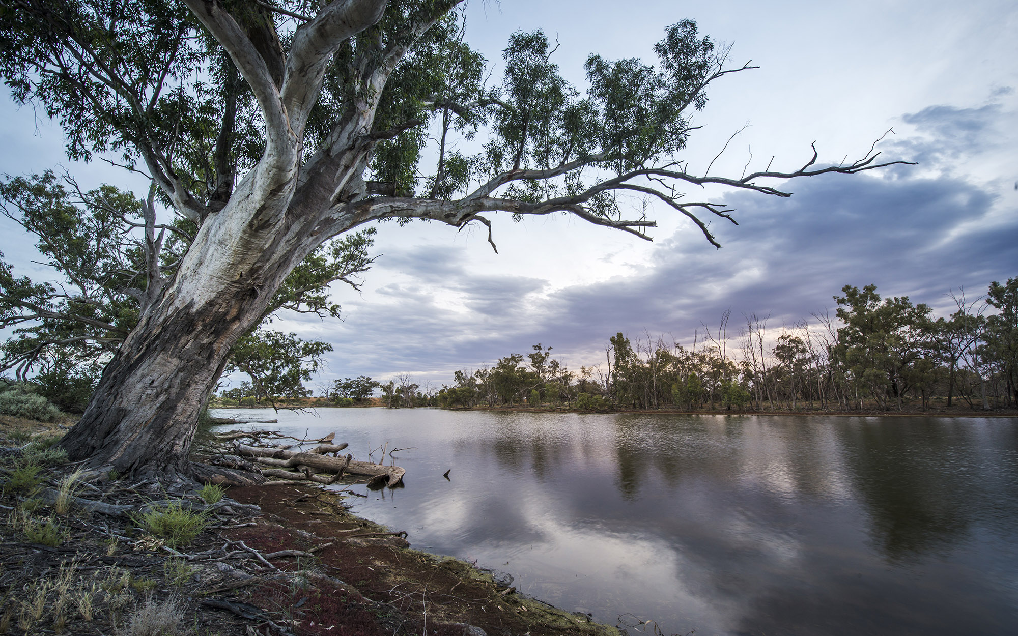 River Sunset, Mid Murray River.