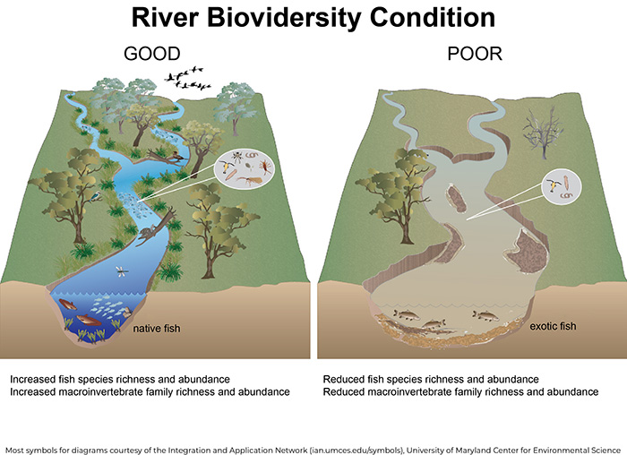 Figure 5. Good versus poor river biodiversity condition.