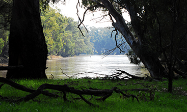 Murrumbidgee River, NSW.