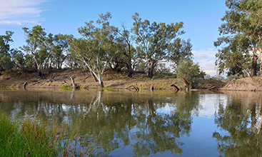 Barwon River near Brewarrina, NSW.