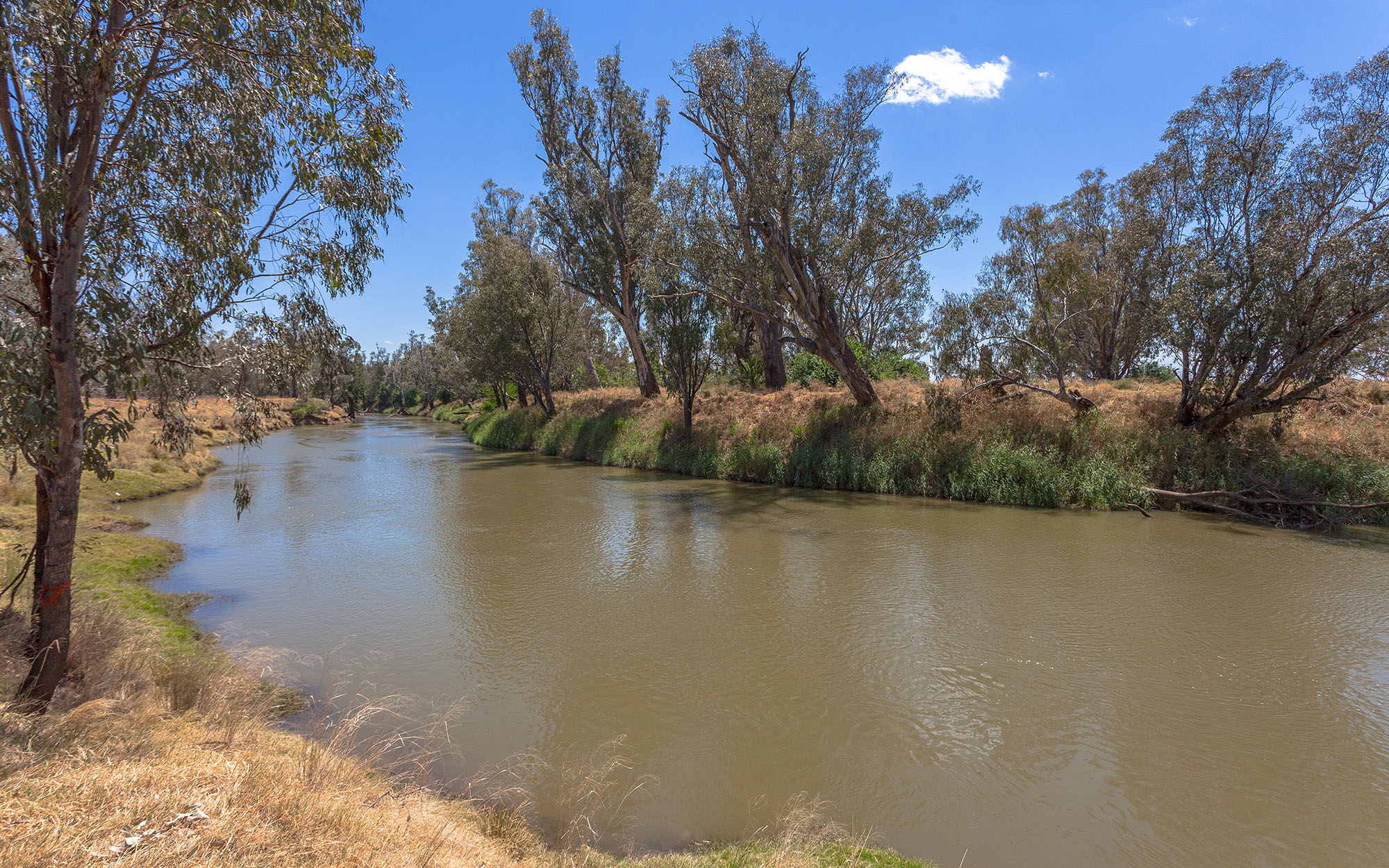 Namoi river in northern New South Wales, Australia.
