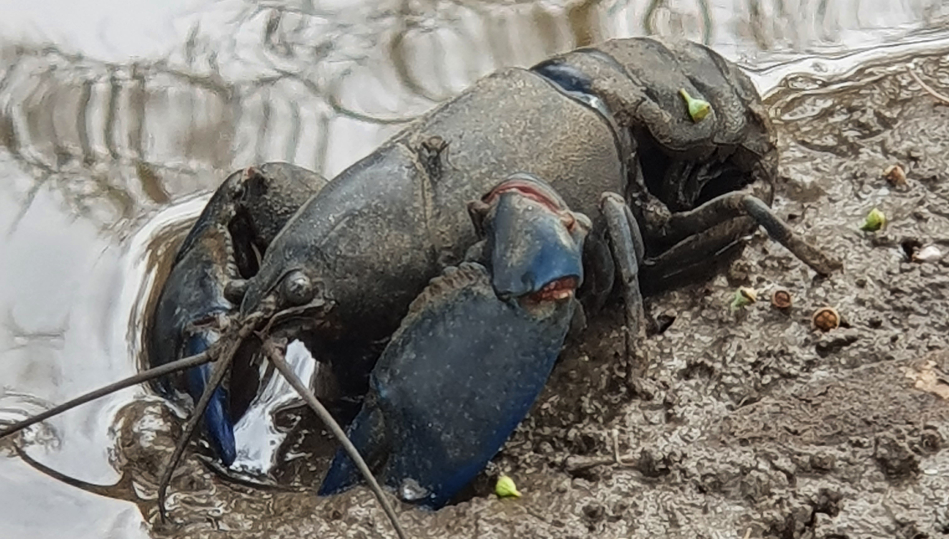 Natural river flows support healthy and productive aquatic ecosystems.