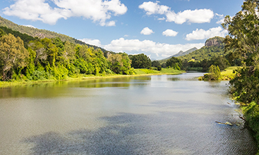 The Tweed River near Murwillumbah, New South Wales.