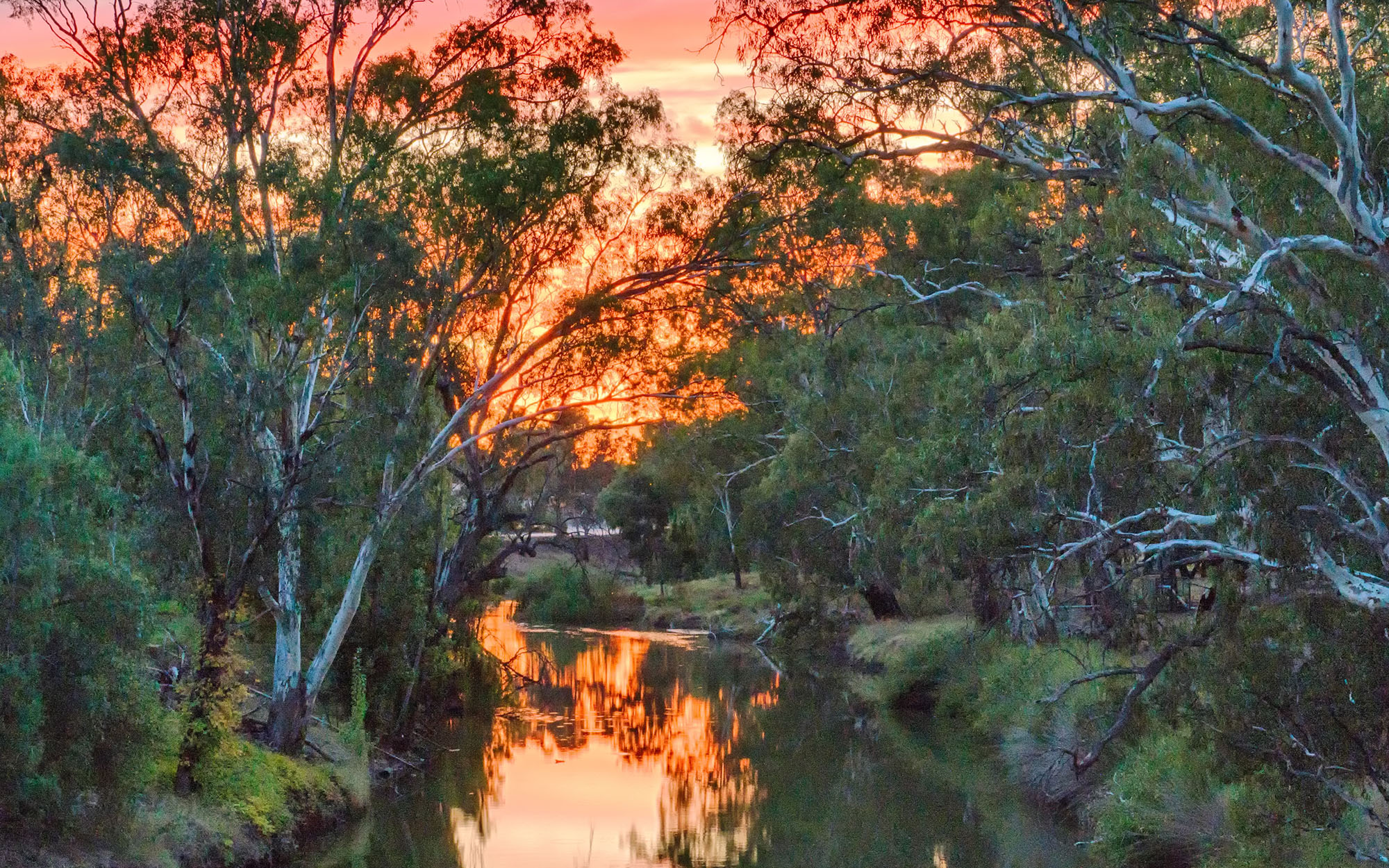 Lachlan River at Condobolin in New South Wales.
