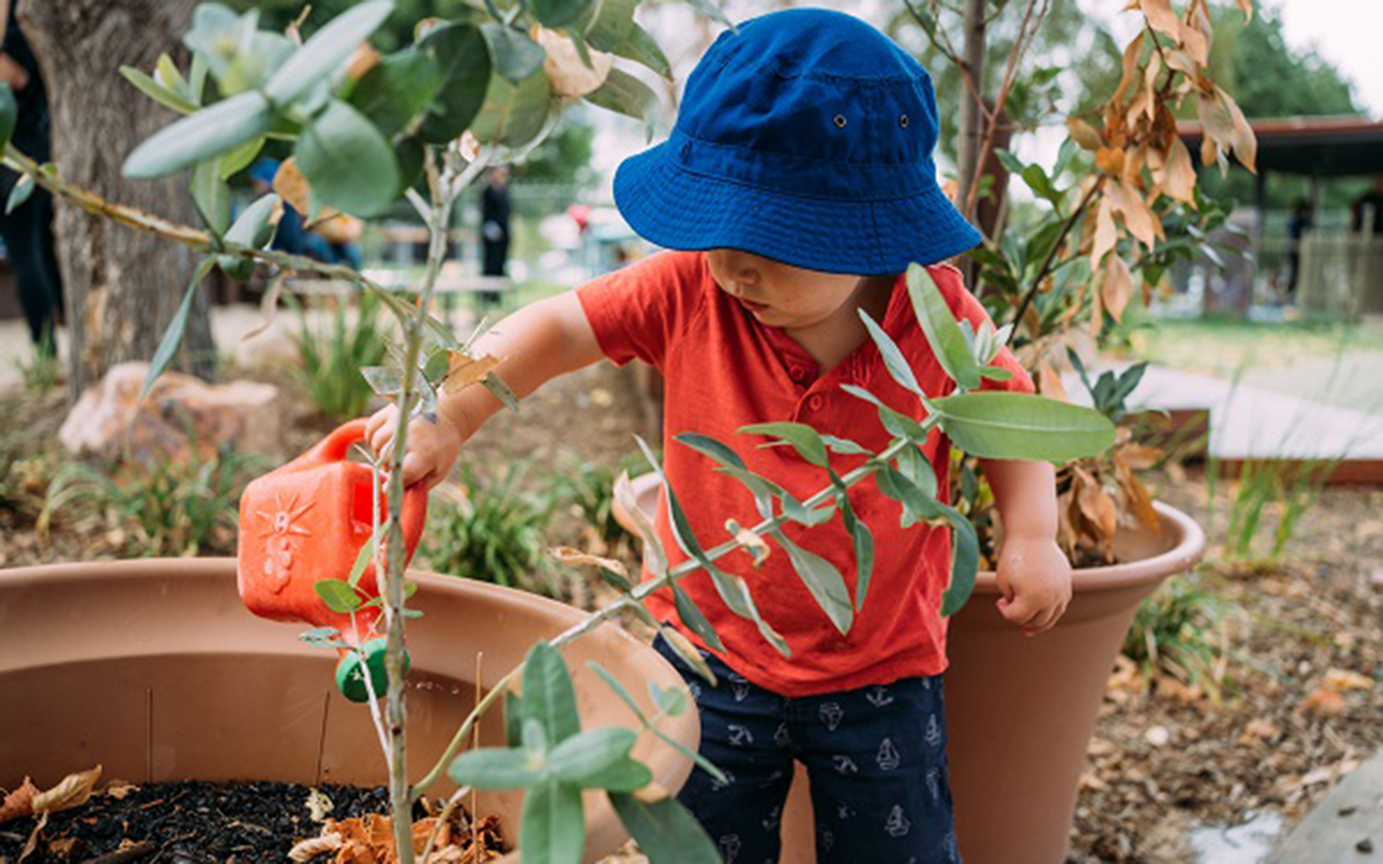A small boy watering a plant with a small plastic watering can 