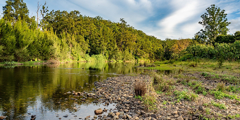 Bellinger River