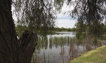The man-made Newey Reserve in Cobar, NSW.