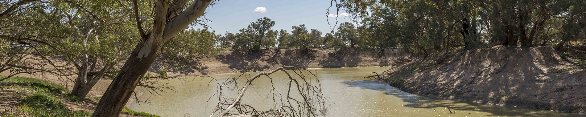 Darling River at The Coach and Horses Campground Wilga Station near Wilcannia Walga precinct. The only unregulated section of the Murray Darling Basin.