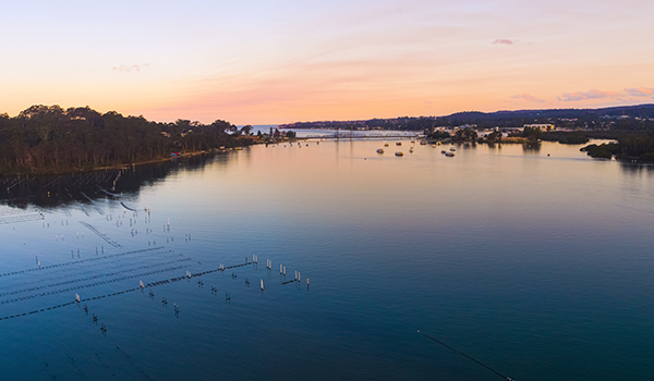 Sun setting over Wray Street Oyster Shed, Batemans Bay. Image courtesy of Destination NSW.