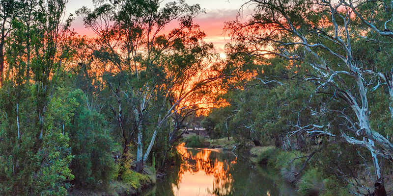 Lachlan River in Condobolin. Image courtesy of Destination NSW.