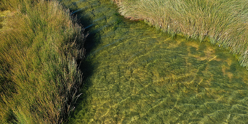 NSW Groundwater Strategy.