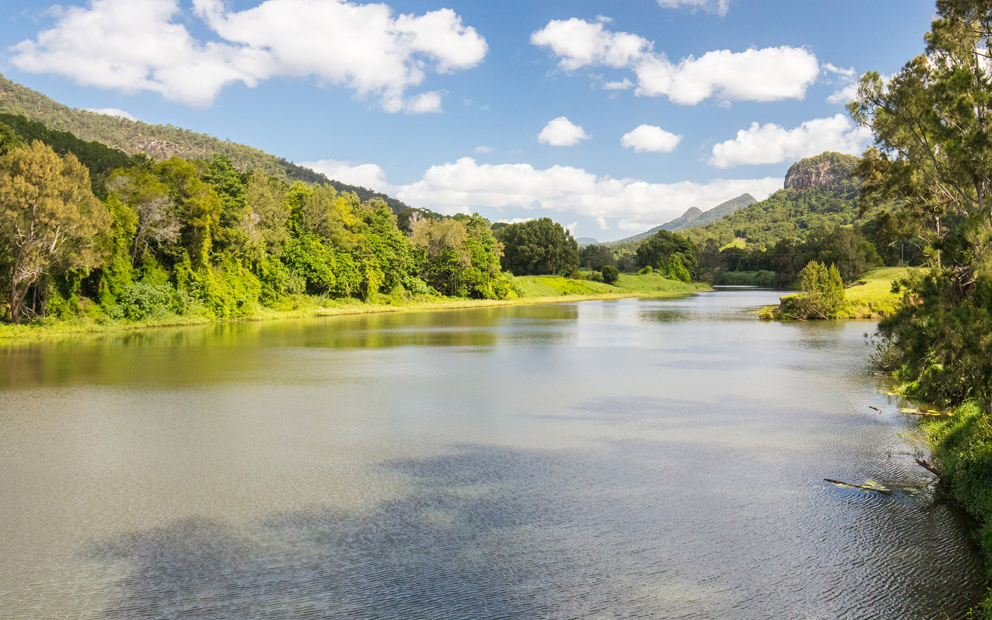 The Tweed River near Murwillumbah, New South Wales.