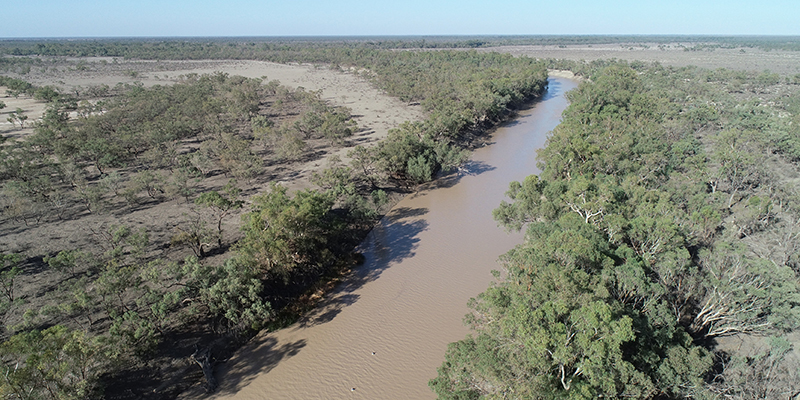 Aerial view of river with brown water 