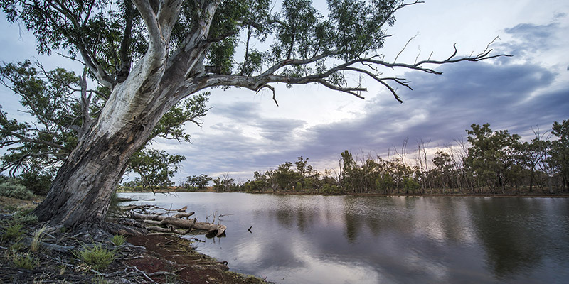 Murray River at dusk