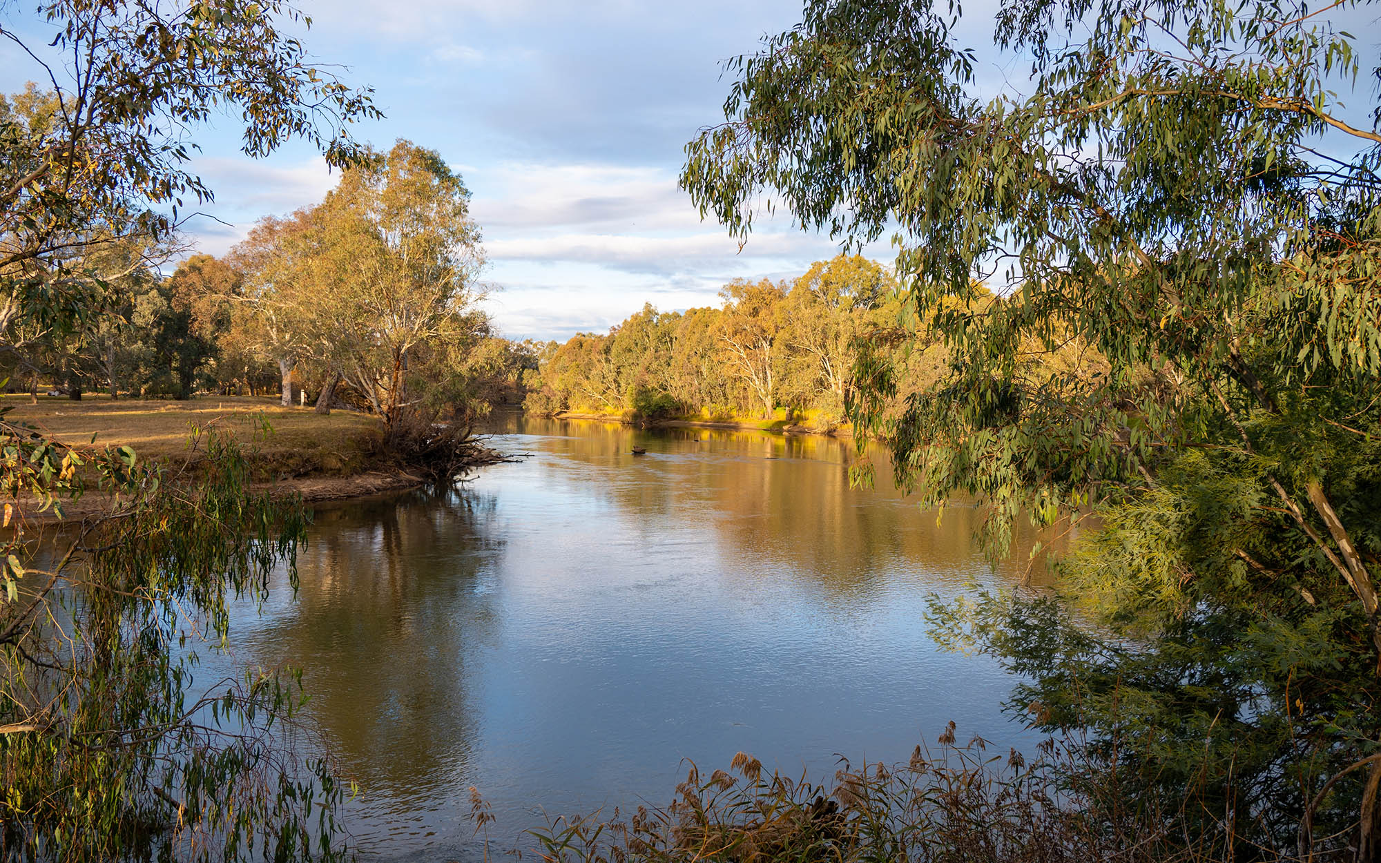 Murray River between near Albury and Wodonga.