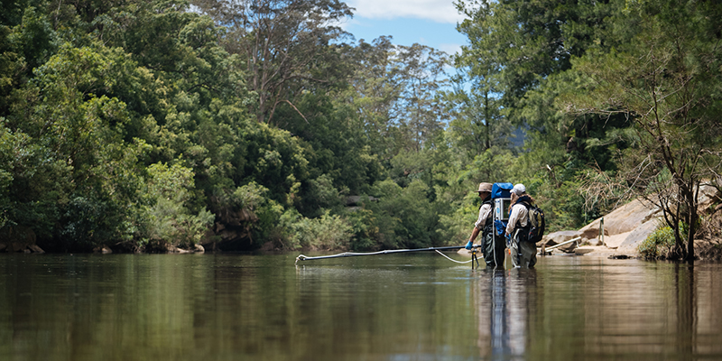 Scientists are collecting water samples.