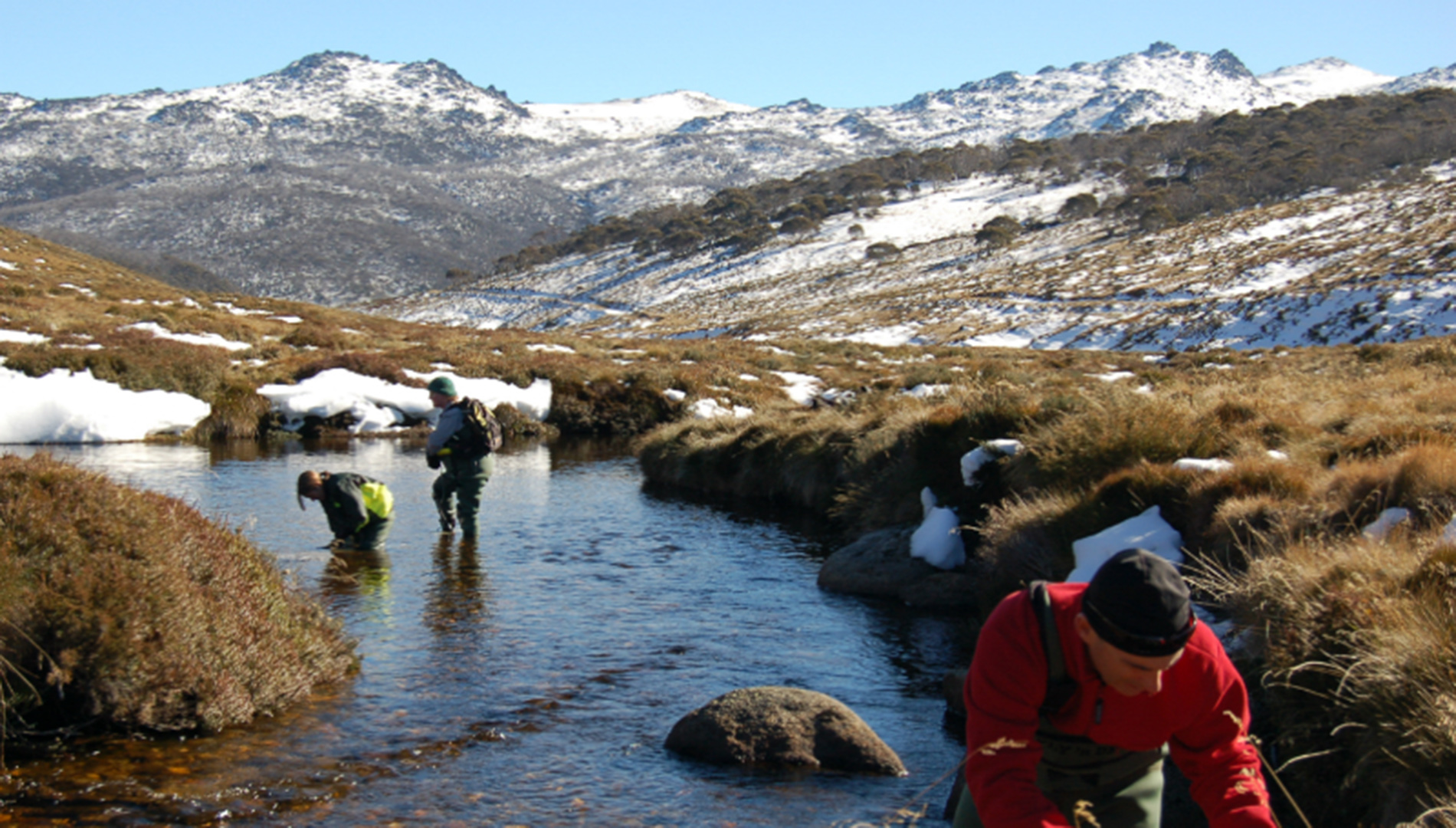 Water sampling at Thredbo River near Cascade Fire Trail 