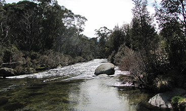 Snowy River flowing