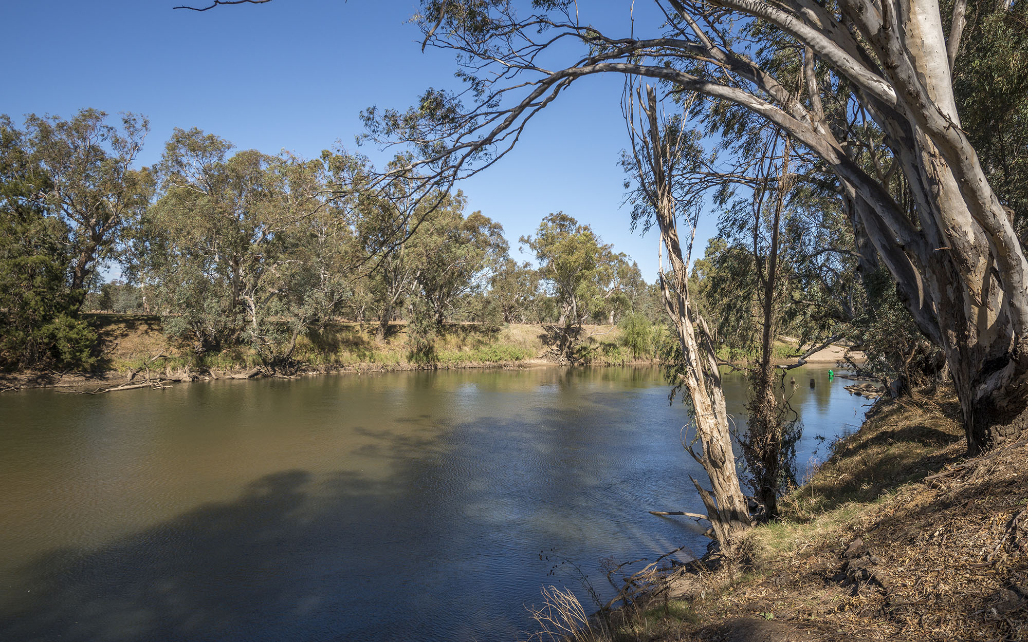 The banks of the Murrumbidgee River in Wagga Wagga.
