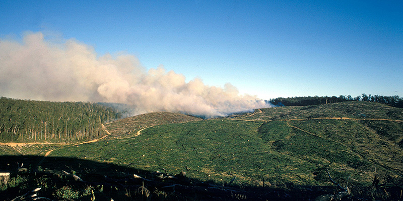 Aerial view of smoke from a large bushfire 