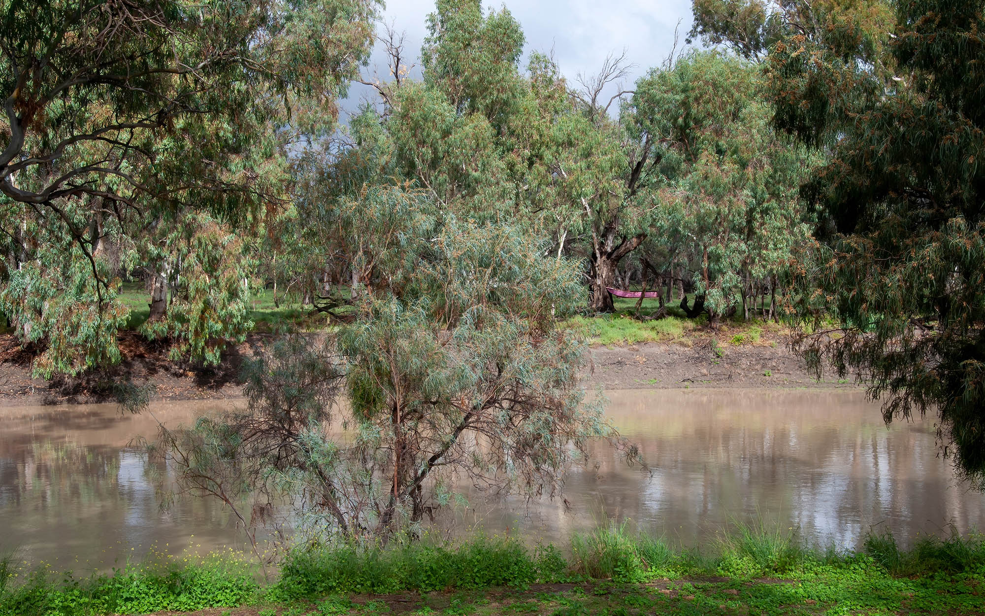 Darling River near Pooncarie
