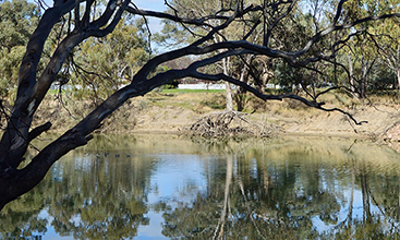 A view of the Murrumbidgee River at the town of Hay in NSW.