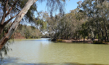 Bogan river.