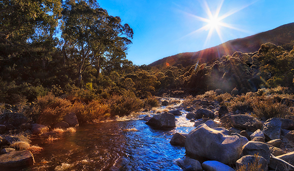 Planned high-flow environmental water releases to the Snowy River will begin on Thursday 14 July.