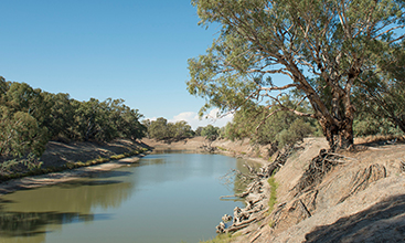 Darling River near Wilcannia in New South Wales.
