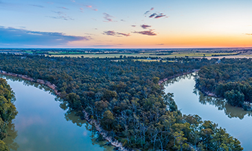 Panoramic view of the Murray River in New South Wales.