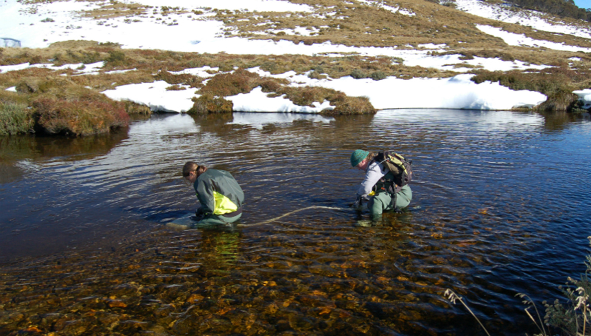 Water sampling at Thredbo River