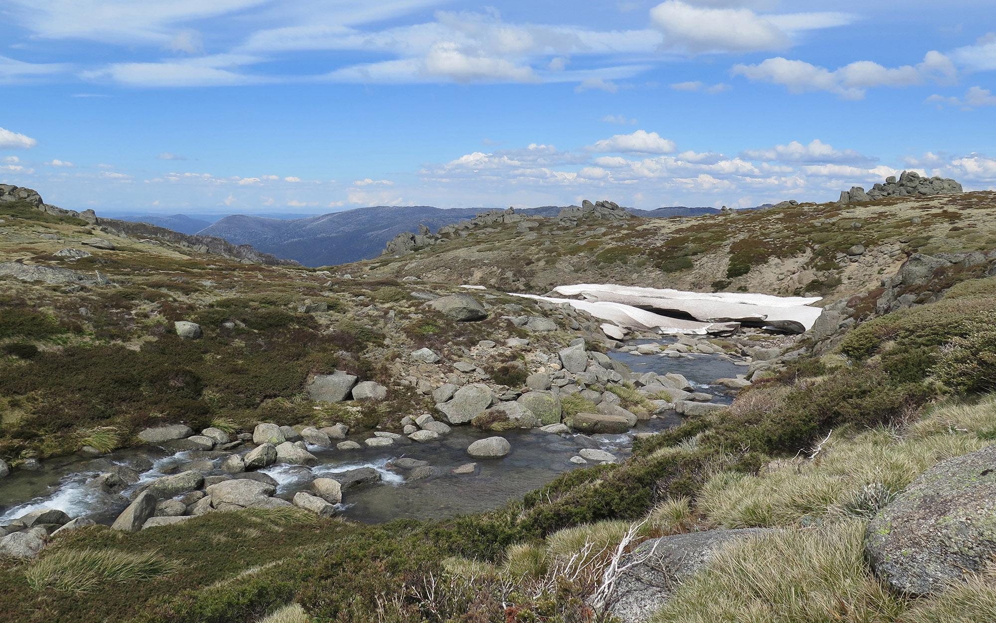 Thredbo to Mount Kosciuszko walk, alpine stream - Image credit: E Sheargold/DPE